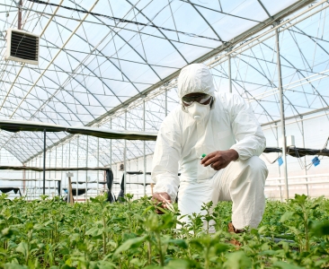 Agriculture