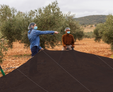 Geotextile