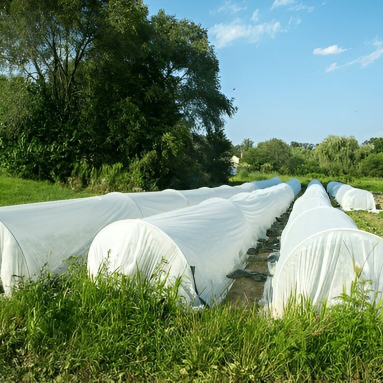 <Crop Cover